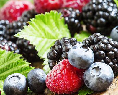 藍莓、樹莓、草莓